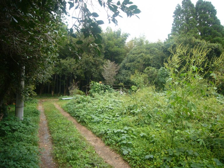 豊野町 糸石 空き地 No.71