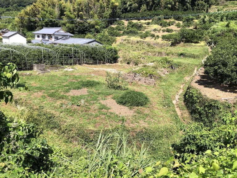 三角町 手場 空き地 No.127