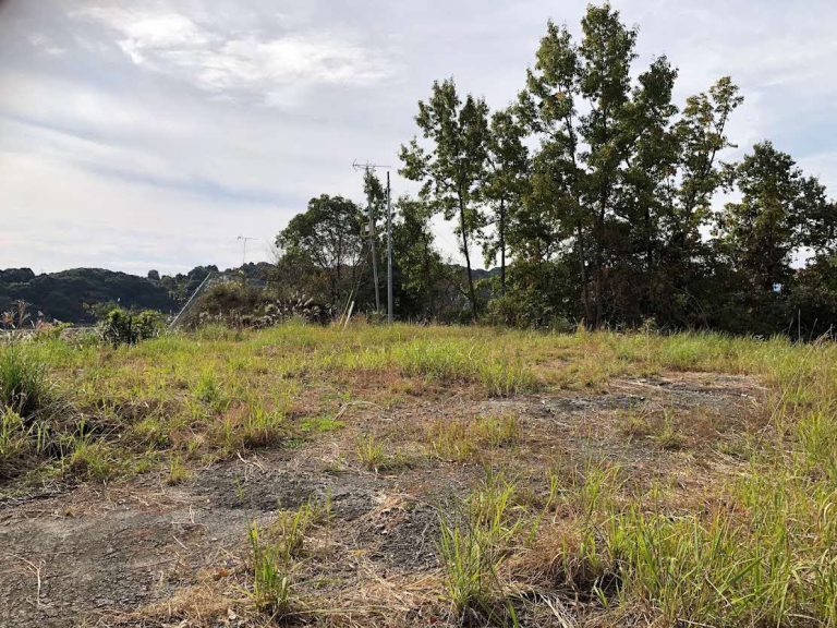 三角町 波多 空き地 No.130